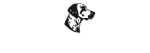 COACHMEN